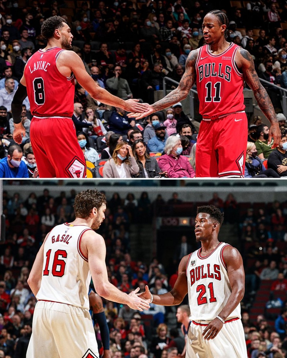 山东将会培 山东将会培