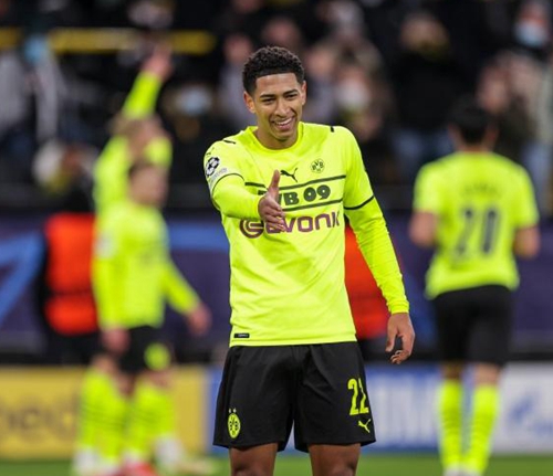 关注的新援 关注的新援