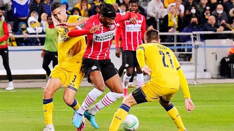 几乎可以确 几乎可以确